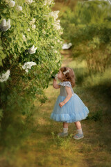 a child in a blue dress plays in the park. plays in the forest. girl with a basket collects flowers.