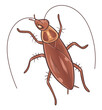 Cartoon ugly and evil cockroach on the white background vector illustration. 