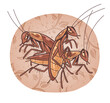 Three cartoon cockroaches on wallpaper background. Pests problem illustration