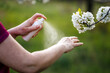 © encierro - Insect repellent. Woman applying mosquito repellant on hand in nature. Skin protection against tick and mosquito bite