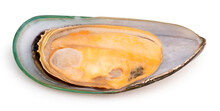 Green Shell Mussels  Isolated On White Background, Fresh New Zealand Mussels Or Perna Canaliculus On White Background With Clipping Path,