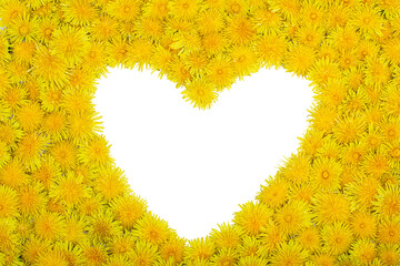 Wall Mural - A heart-shaped frame of yellow dandelion flowers on a white background. Copy space