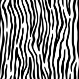Fototapeta Konie - Vector animal stripe pattern. Monochrome seamless pattern with dense curvy stripes. Black and white texture. Zebra, tiger or wood repeat background.