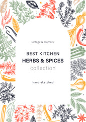 Wall Mural - Hand-drawn herbs and spices vector card in color. Hand-sketched food illustration. Aromatic plant drawings. Kitchen herbs and spice frame template in sketched style for packaging, menu, banners