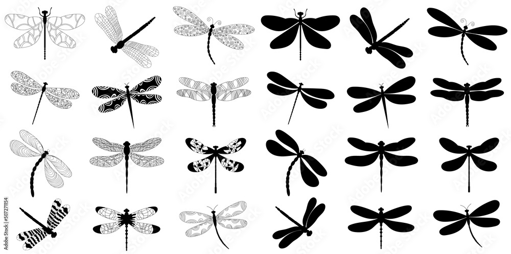 set of dragonfly black silhouette on white background, isolated, vector