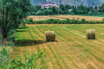 Summer farm scenery with two haystacks against the backdrop of mountains in Albania. Harvesting grains on a field among meadows and forests with green trees and grass