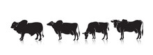 EID AL ADHA SILHOUETTE COW FOR ELEMENT BACKGROUND