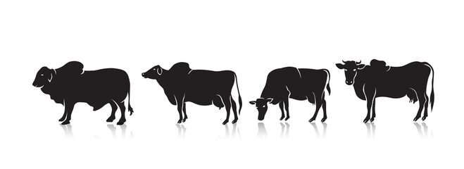 Wall Mural - EID AL ADHA SILHOUETTE COW FOR ELEMENT BACKGROUND