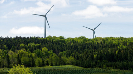 Wind turbines over a forest