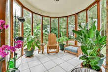 Conservatory With Plants In Daylight