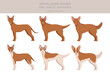 Andalusian hound clipart. Different poses, coat colors set