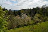 Fototapeta Tęcza - Landscape photos in the Bavarian Forest with fascinating clouds and blue sky