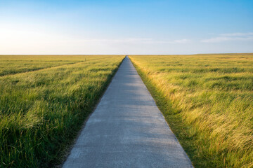 Wall Mural - endless road along green grasslands