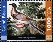 Passenger Pigeon, Extinct Bird, On Postage Stamp