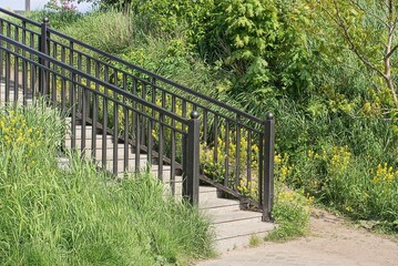 Poster - part of a staircase with concrete steps and black iron handrails outdoors in green grass and yellow flowers