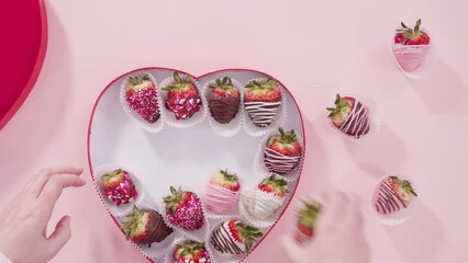 Sticker - Flat lay. Step by step. Arranging a variety of chocolate dipped strawberries in a heart shaped gift box on pink background.