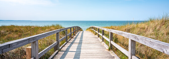 Wall Mural - pathway to the beach in summer