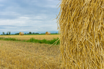 Straw bale on the field in cloudy day, with focus on the bale with blurred backgroun