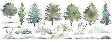 Watercolor Hand Drawn Forest Set With Delicate Illustration Of Different Types Of Deciduous, Coniferous Trees, Spruce, Grass, Elements Isolated On A White Background. Woodland Silhouette Collection.