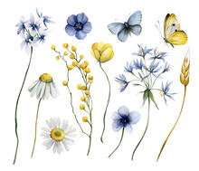 Collection Of Watercolors With Wildflowers And Butterflies. Illustration With Meadow Herbs.