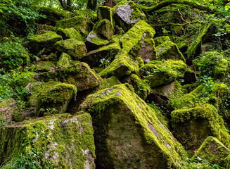 Wall Mural - Kennall river in Kennall Vale Nature Reserve, Ponsanooth, Cornwall, United Kingdom