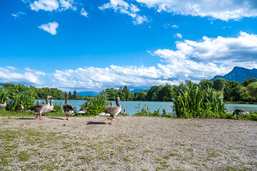 landscape with sky and clouds