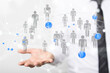 © vegefox.com - communication network digital group connect