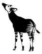 Okapi vector symbol