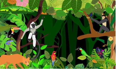 Wall Mural - Jungle animals and plants template, deer, baboo and birds, vector illustration