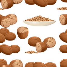 Seamless Pattern Of Fragrant Nutmeg Seasoning With Whole And Milled Vector Illustration