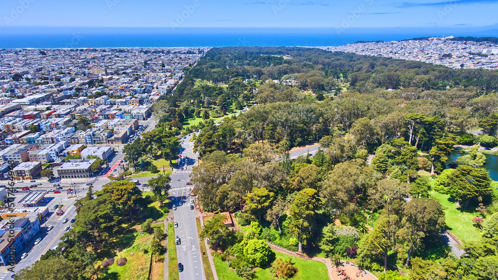 Bright idea for SF’s Golden Gate Park: New light display next winter