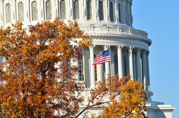 Wall Mural - US Capitol in autumn foliage - Washington dc united states