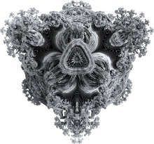 Abstract Organic Monochrome Isolated Surreal Symmetry Fractal Shape