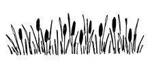 Simple Black Outline Vector Drawing. Thickets Of Reeds, Lake Shore, River Plants. Duck Hunting.