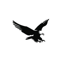 Eagle Flying Vector For Logo Suggestion On White Background