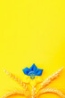 Blue yellow background. Ukrainian flower trident symbol with wheat grain ear isolated on yellow. Love Ukraine concept.