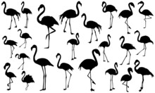 Flamingo Cut File, Flamingo Clipart, Flamingo Silhouette, Bird Cut File, Bird Clipart, EPS 10
