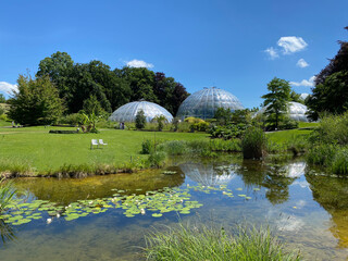 The Botanical Garden of the University of Zurich or Botanischer Garten der Universität Zürich (Botanischer Garten der Universitat Zurich - Botanischer Garten der Universitaet Zuerich), Switzerland