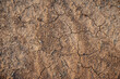 Looking down on dry red dirt edged with grass, cracked earth, pebbles, and green grass, useful as a natural background texture or wallpaper. 