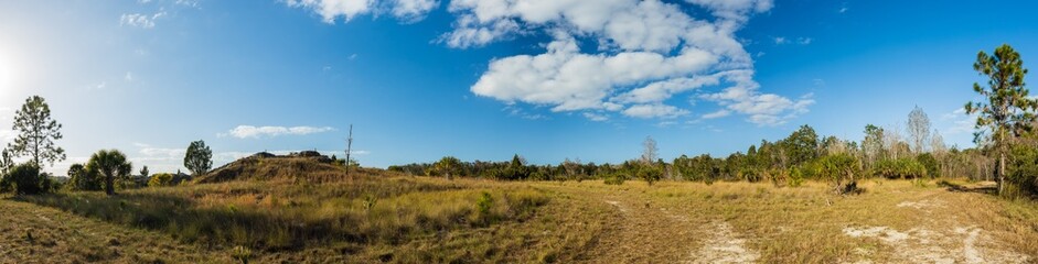 landscape with grass and sky, aripeka sandhills preserve