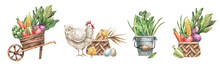 Set Of Watercolor Illustrations Farmhouse, Harvest, Vegetables And Fruits, Poultry.Сart With Vegetables, . Bucket Of Greens, Chicken With A Basket Of Eggs, Basket Of Vegetables.