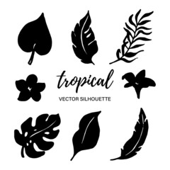 Tropical vector leaf silhouettes. Black on white. Vector illustration