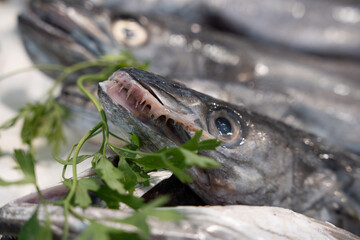 fish in a fish market stacked on top of each other on light ice and the fish are looking directly at you