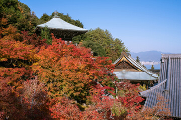 Wall Mural - 寺院の屋根と紅葉　広島県・宮島の大聖院　Temple roofs and autumn red maple trees at Daisho-in Temple in Miyajima, Hiroshima, Japan