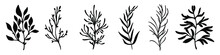 Hand Drawn Branches. Set Of Branches. Branch Icon Isolated. Vector Illustration. Abstract Branch With Leaves.