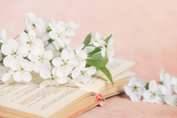 Sticker - Open old book with white small flowers on a pink background	