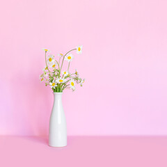 Wall Mural - bouquet of white daisies in a vase against a pink wall