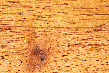 Close up of wooden texture of Cedar wood cigar box surface