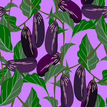 Vector - Eggplants Vegetables Seamless Pattern.
