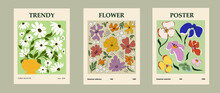 Set Of Different Flower Posters. Modern Style, Trendy Pastel Colors. Abstract Daisy, Poppy, Marigold Flowers.
Vector Colorful Illustrations, Perfect For Wall Art, Cards, Covers Etc.